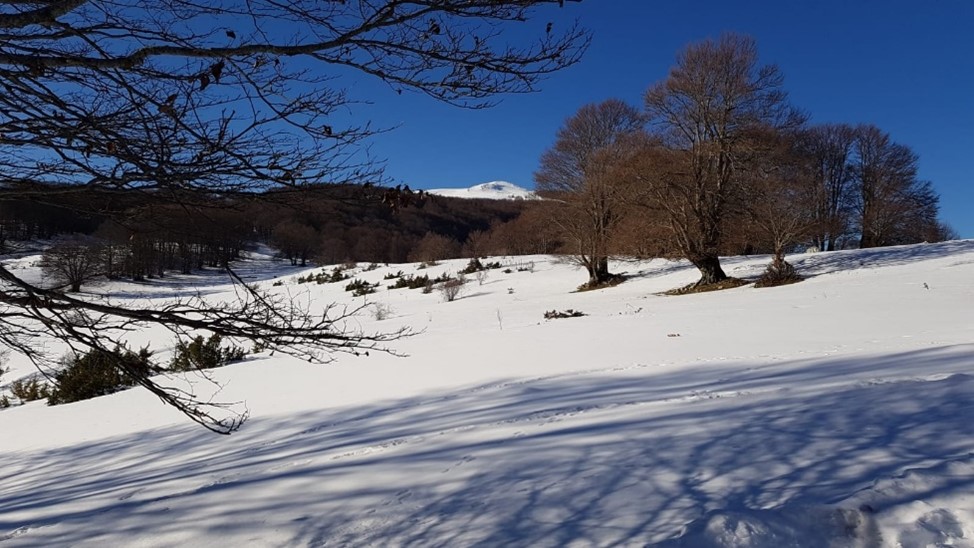 Monte San Rocco